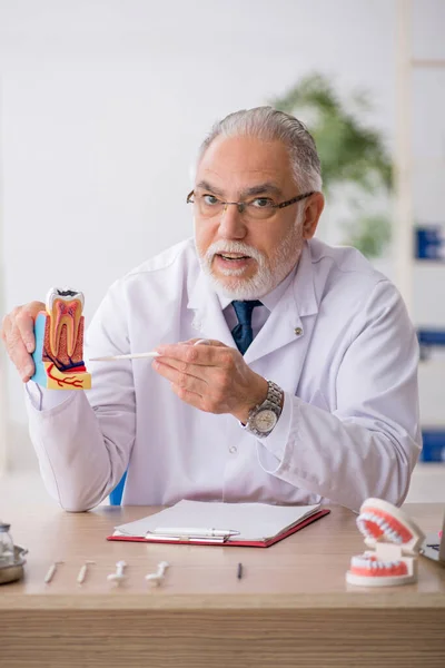 Alt männlich doktor zahnarzt working im die klinik — Stockfoto