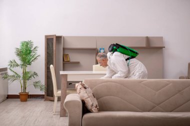 Yaşlı erkek müteahhit evde haşere kontrolü yapıyor.