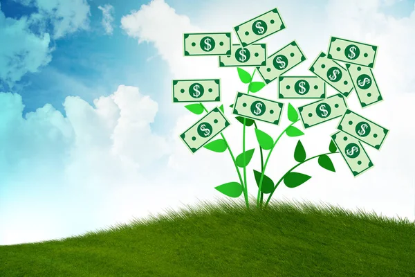 Дерево грошей у бізнес-концепції - 3d візуалізація — стокове фото