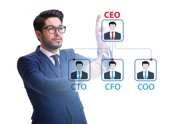 Бізнесмен в концепції діаграми організації — стокове фото