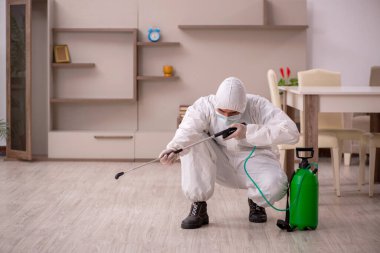 Genç erkek müteahhit evde haşere kontrolü yapıyor.