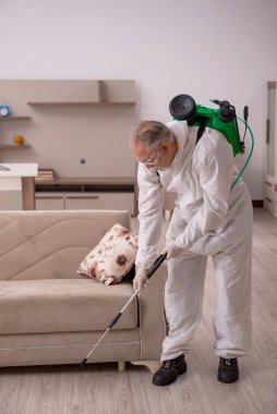 Yaşlı erkek müteahhit evde haşere kontrolü yapıyor.