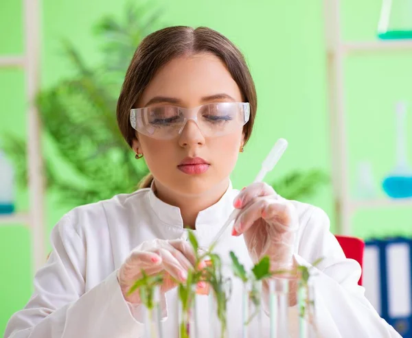 Όμορφη γυναίκα επιστήμονας βιοτεχνολογίας χημικός εργάζεται στο εργαστήριο — Φωτογραφία Αρχείου