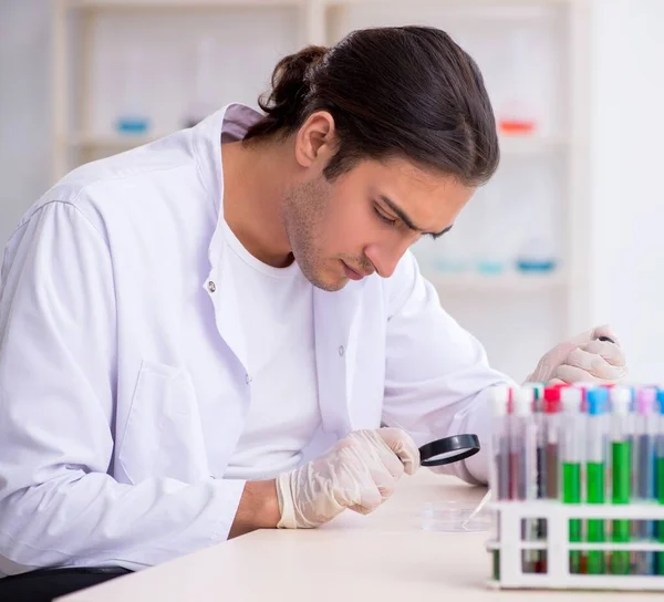 Joven químico masculino trabajando en el laboratorio — Foto de Stock