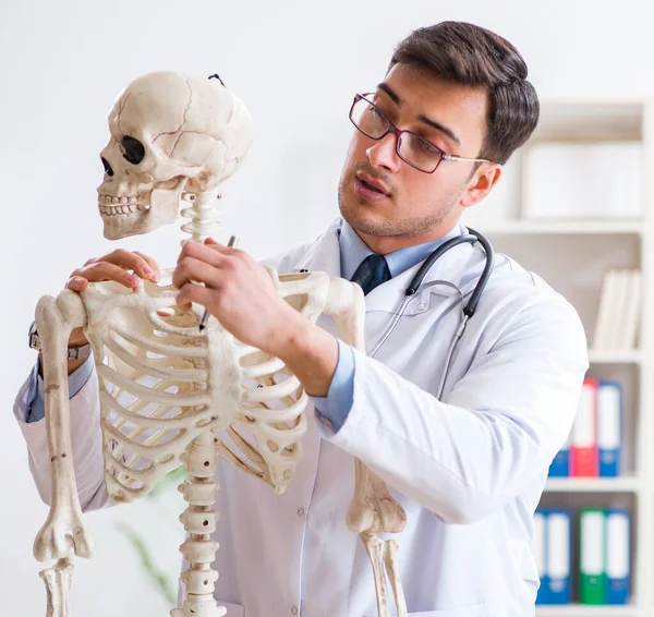 Йонг мужчина врач со скелетом изолирован на белом — стоковое фото
