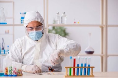Genç erkek kimyager zoolog salgın sırasında laboratuvarda çalışıyor.