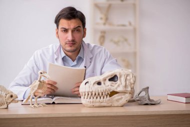 Genç erkek paleontolog laboratuvarda antik hayvanları inceliyor.