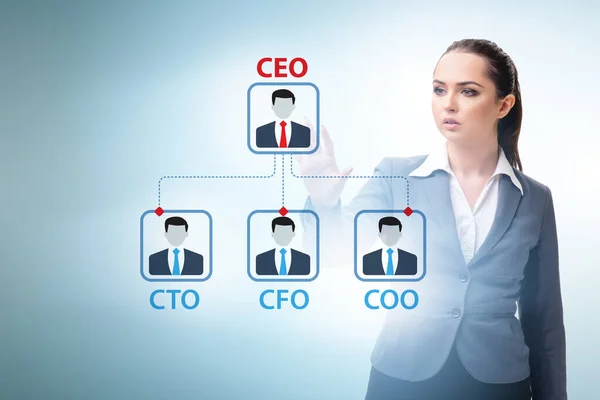 Businesswoman in the organisation chart concept — Stock Photo, Image