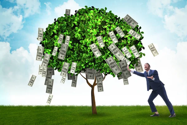 Uomo d'affari con albero dei soldi nel concetto di business — Foto Stock