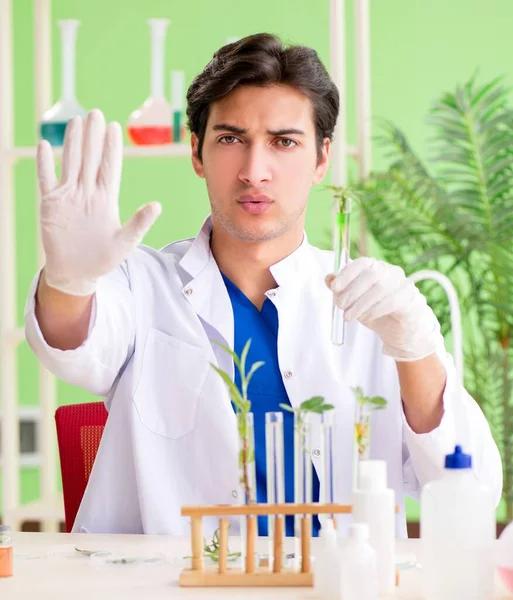 Mladý biotechnologický vědec chemik pracující v laboratoři — Stock fotografie