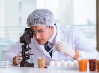 Besin uzmanı gıda ürünlerini laboratuarda test ediyor.