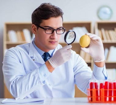 Bilim adamı organik meyve ve sebzeler üzerinde çalışıyor.