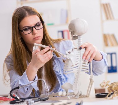 Öğrenci sınıfında oturuyor ve iskelet çalışıyor.