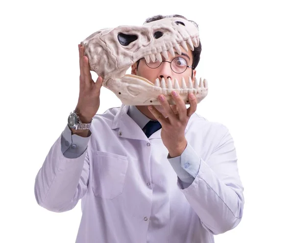 Grappige gekke professor paleontoloog bestudeert dierlijke skeletten i — Stockfoto