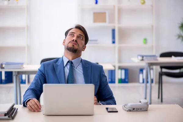 Unge mandlige ansatte, der arbejder på kontoret - Stock-foto