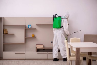 Genç erkek müteahhit evde haşere kontrolü yapıyor.