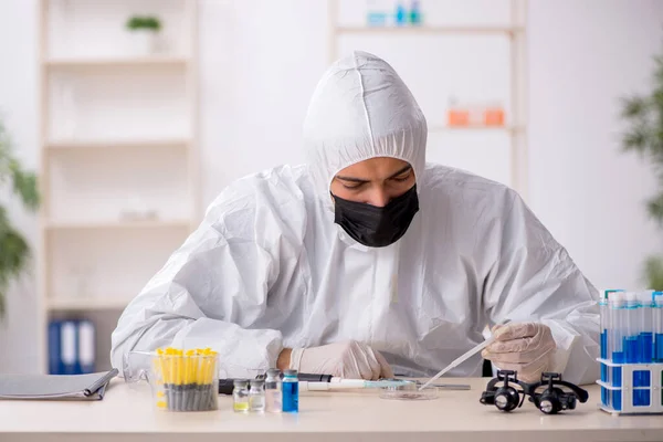 Jonge mannelijke chemicus werkt in het lab tijdens een pandemie — Stockfoto