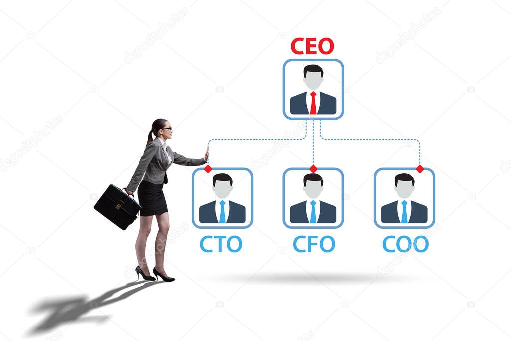 Illustration of organisation chart with various executives
