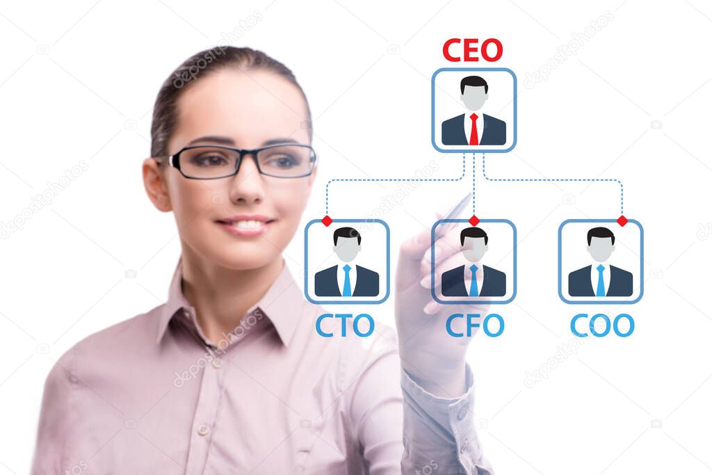 Businesswoman in the organisation chart concept