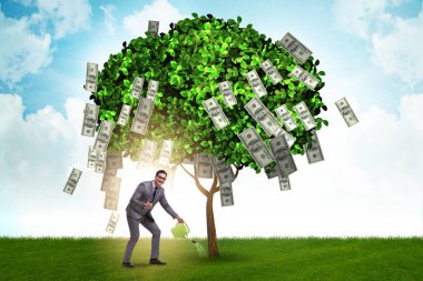 İş konseptinde para ağacı olan bir iş adamı