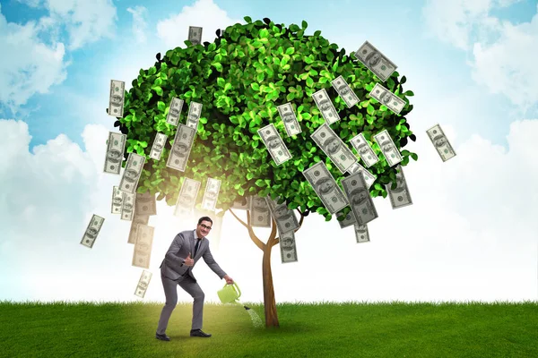 Empresario con árbol de dinero en concepto de negocio — Foto de Stock