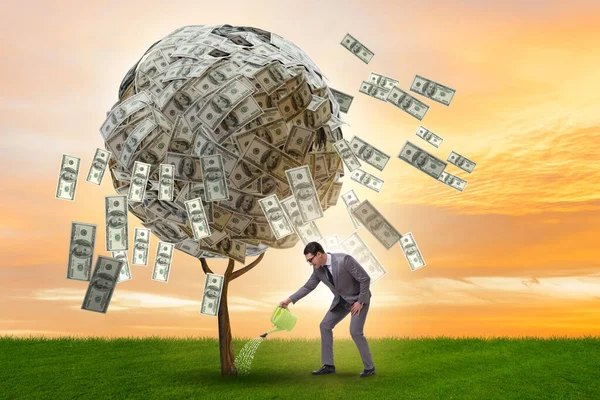 Επιχειρηματίας με δέντρο χρήματα στην επιχειρηματική ιδέα — Φωτογραφία Αρχείου