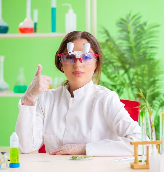 Krásná biotechnologický vědec chemik pracující v laboratoři — Stock fotografie