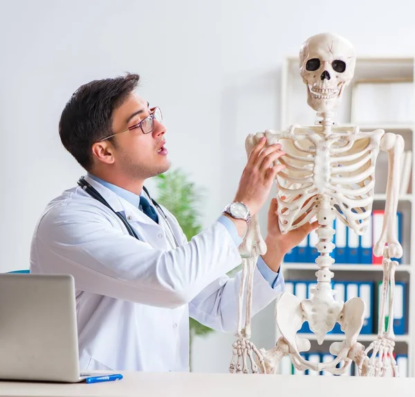 Yong medico maschio con scheletro isolato su bianco — Foto Stock