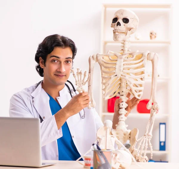 De jonge mannelijke arts met skelet — Stockfoto