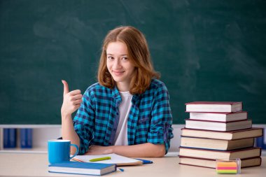 Sınavlara hazırlanan genç bir kız öğrenci.