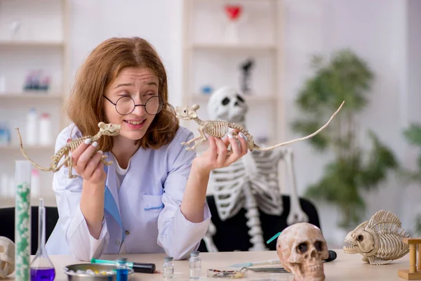 Ung kvinnlig zoolog som arbetar på labbet — Stockfoto