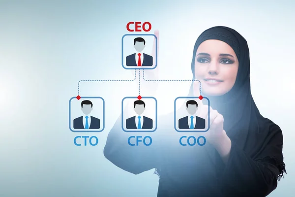 Businesswoman in the organisation chart concept — Stock Photo, Image