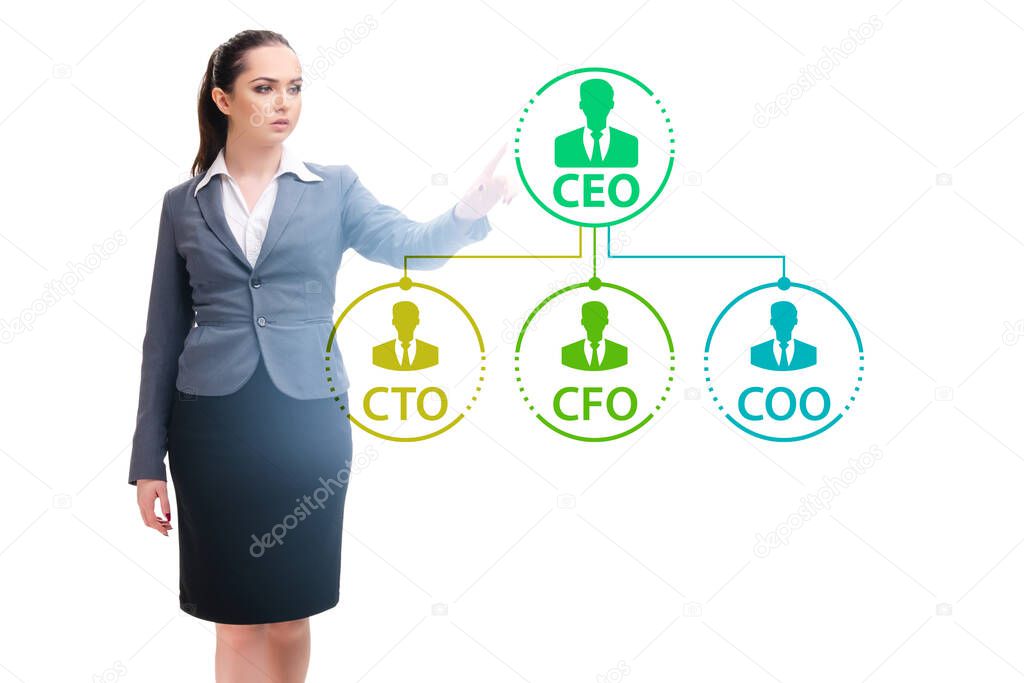 Businesswoman in the organisation chart concept