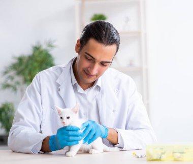 Genç erkek doktor hasta kediyi muayene ediyor.