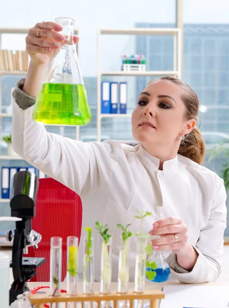 La chercheuse en biotechnologie chimiste travaillant dans le laboratoire — Photo