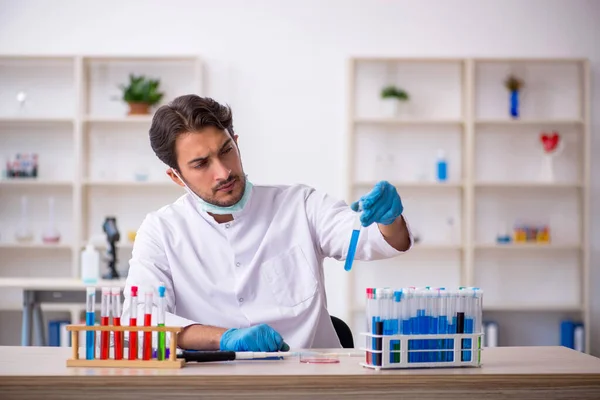 Молодой химик, работающий в лаборатории — стоковое фото