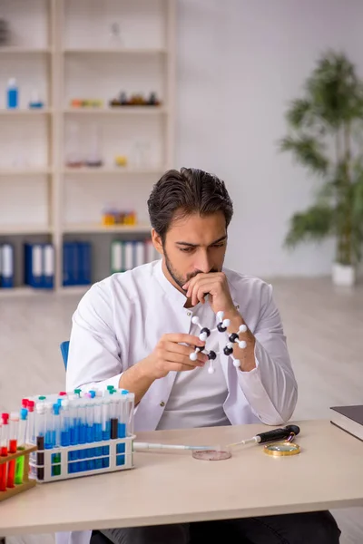 Jovem químico do sexo masculino que trabalha no laboratório — Fotografia de Stock