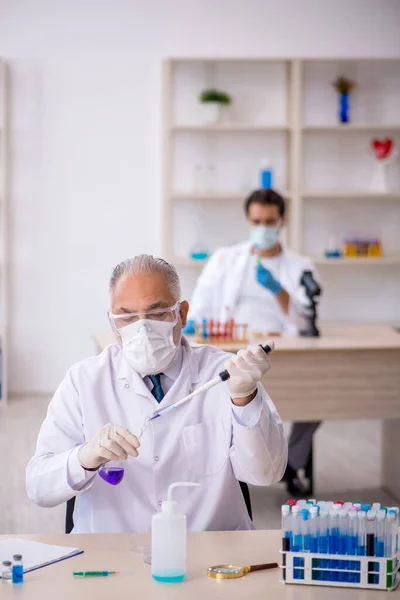 Два хіміка чоловічої статі працюють в лабораторії — стокове фото