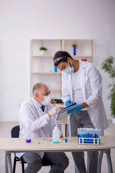 Dois homens químicos a trabalhar no laboratório. — Fotografia de Stock