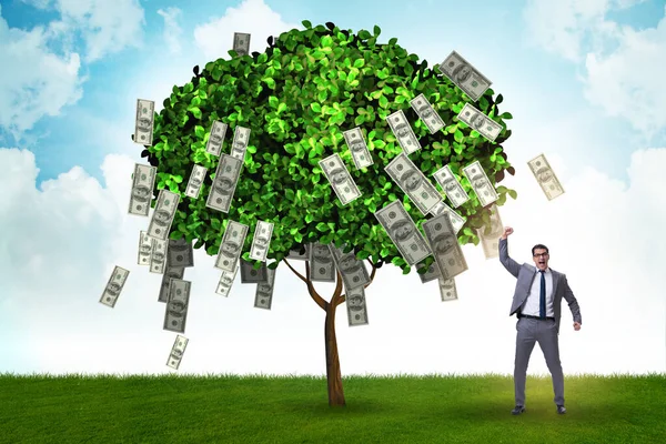 Uomo d'affari con albero dei soldi nel concetto di business — Foto Stock