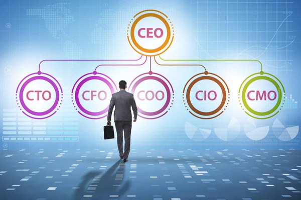 Ilustración del organigrama con varios ejecutivos — Foto de Stock