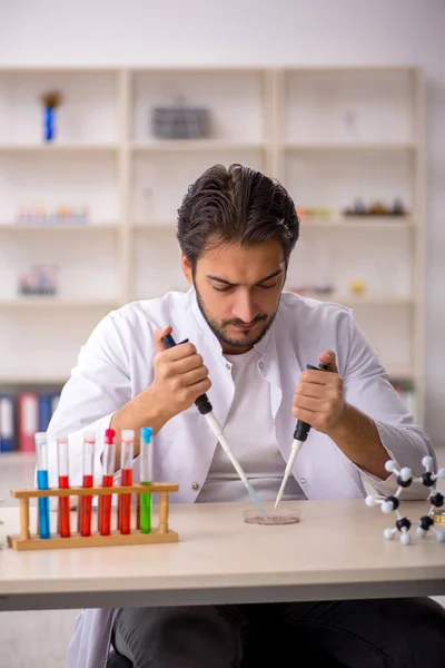 Giovane chimico di sesso maschile che lavora in laboratorio — Foto Stock