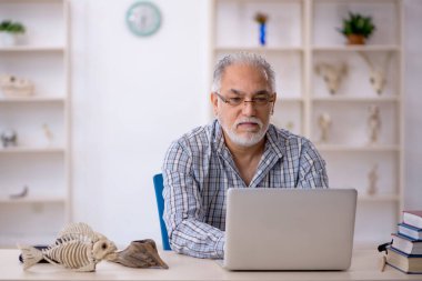 Yaşlı erkek paleontolog laboratuvarda antik hayvanları inceliyor.