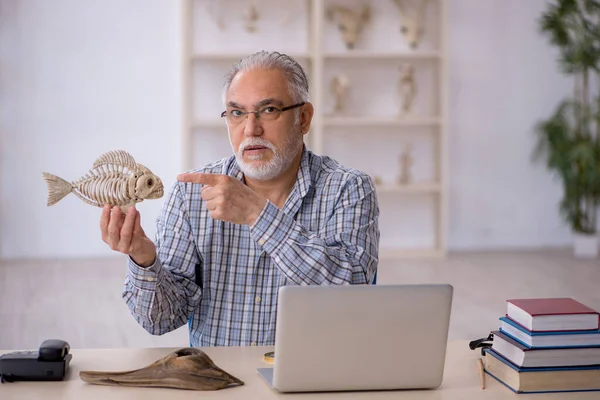 Gammal manlig paleontolog undersöker gamla djur på labbet — Stockfoto