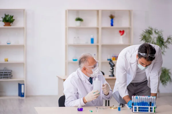 Два хіміка чоловічої статі працюють в лабораторії — стокове фото