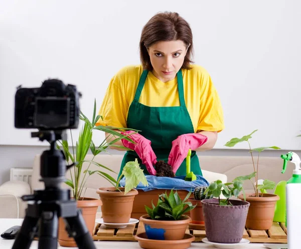 Női blogger elmagyarázza a növekvő szobanövények — Stock Fotó