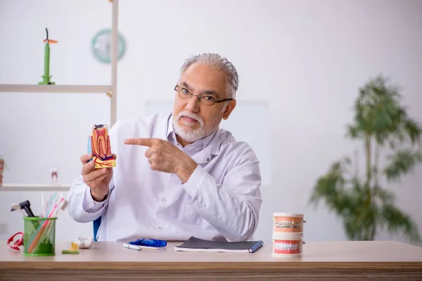 Homem velho dentista que trabalha na clínica — Fotografia de Stock