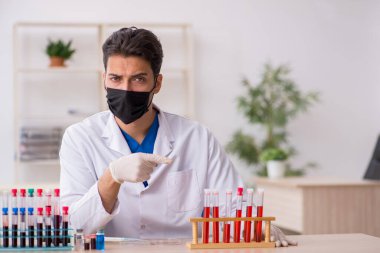 Genç erkek biyokimyacı kan örneklerini pandemik konseptte test ediyor.