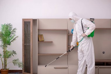 Genç erkek müteahhit evde haşere kontrolü yapıyor.