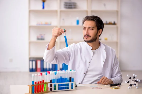 Młody chemik pracujący w laboratorium — Zdjęcie stockowe